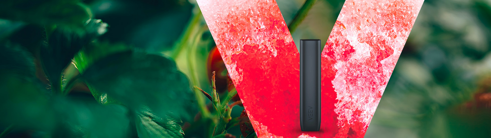 banner-main-veev-desktop